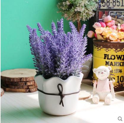 Lavender Лаванда Decor