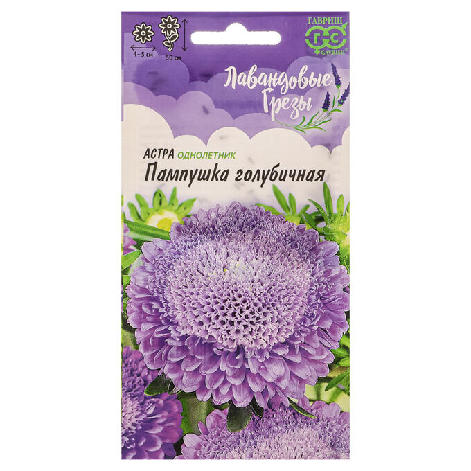 INBLOOM Семена Астра Пампушка голубичная, однолетняя (помпонная) 0,3 гр, серия Лавандовые грёзы