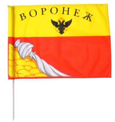 Как выглядит флаг воронежа