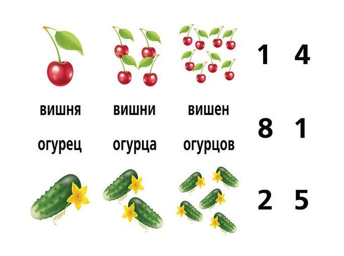 Игры во множественном числе примеры Игра Слова и Числа для Детей 5-7лет Игры на любой вкус и Настольные игры. Учебна