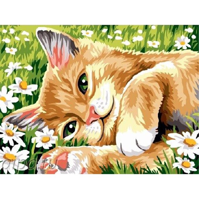 Картинки по номерам котики