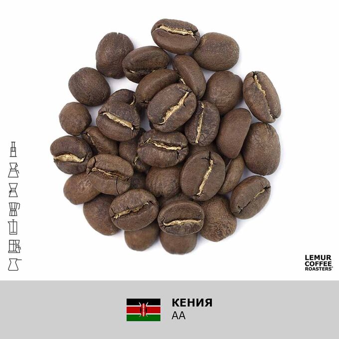 кофе зерно кения аа. кофе кения килиманджаро в зернах. кофе зерно кения аа. кофе dormans из кении.