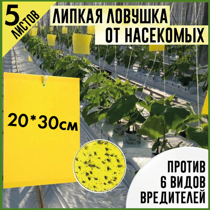 Хозяйственные товары Клеевая ловушка от насекомых 5 листов 30*20см  (от белокрылки, мошек, тли.)
