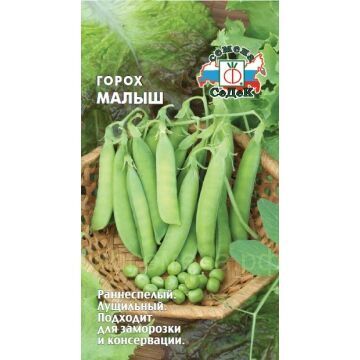 Семена для Сибири Горох Малыш (Седек)