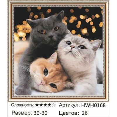 PAITING DIAMOND алмазная мозаика Мозаика круглая 30х30 см