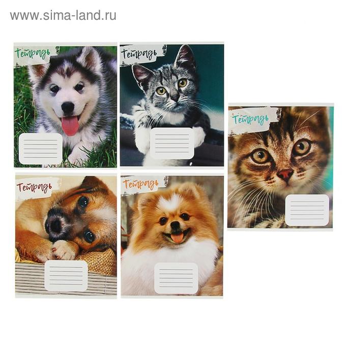 Тетрадь животных. Тетрадь животных. Into the wild", суперэконом. Тетрадь общая животные. Тетрадь животных.