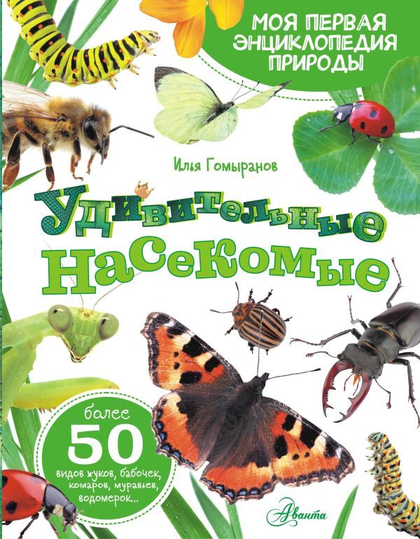 Издательство АСТ Гомыранов И.А. Удивительные насекомые