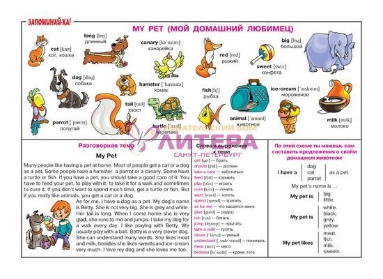 Лексика английского языка примеры