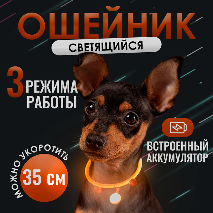 Fashion & Bags Светящийся ошейник для собак диодный, Размер S - 35 см.