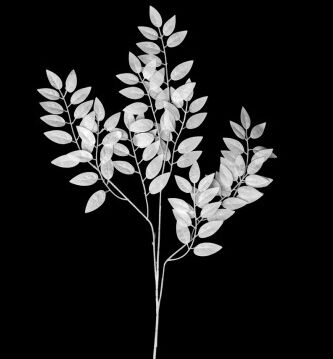 Ветка листья фикуса белая 74 см HS-24-2