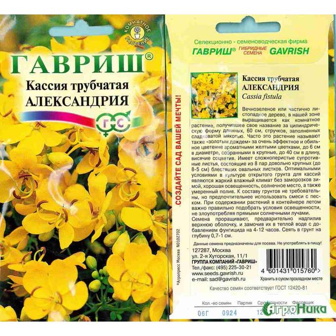 Кассия яванская феникс выращивание из семян - фото