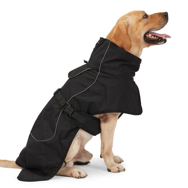 Зимняя куртка для собак, теплый жилет