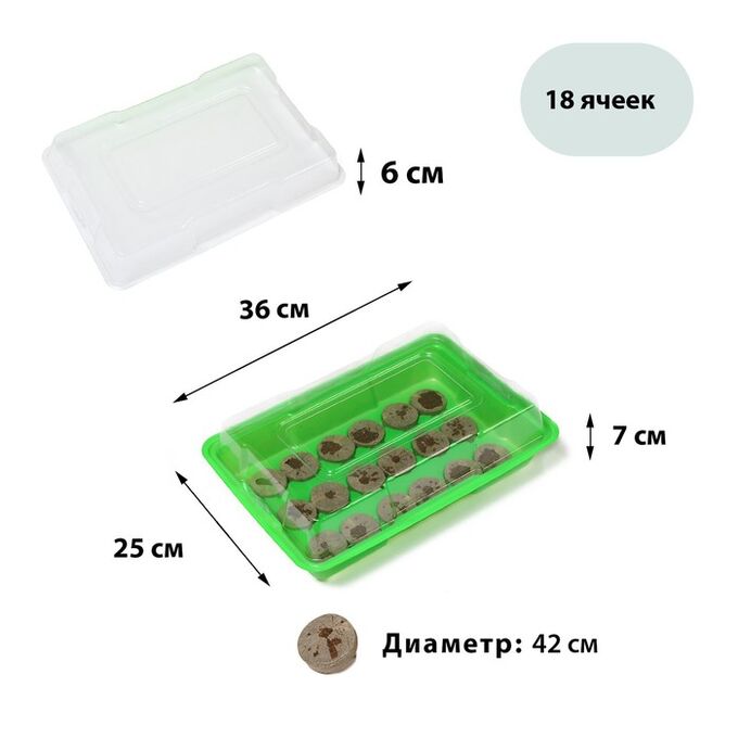 СИМА-ЛЕНД Мини-парник для рассады: торфяная таблетка d = 4,2 см (18 шт.), парник 36 ? 25 см, зелёный