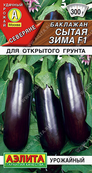 Аэлита Баклажан Сытая зима (Код: 91687)