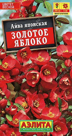 Агрофирма АЭЛИТА Айва японская Золотое яблоко