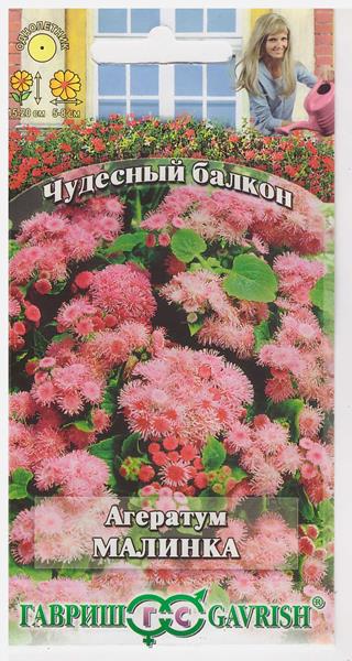 Агератум Малинка