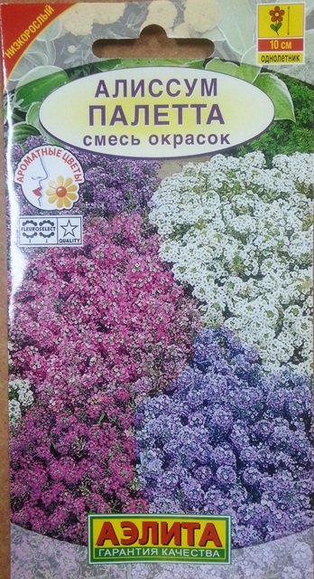 Аэлита Алиссум Палетта (Код: 68388)