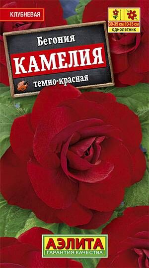 Аэлита Бегония Камелия темно-красная (Код: 70915)