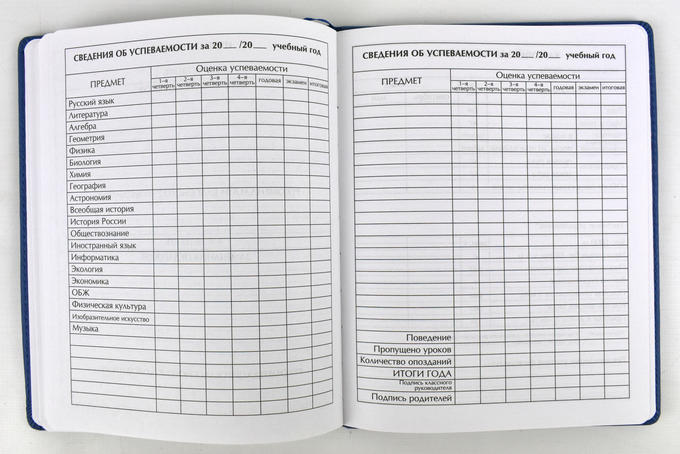 Сколько страниц в дневнике. Школьный журнал. Последняя страница дневника. Журнал для оценок. Ученический дневник.