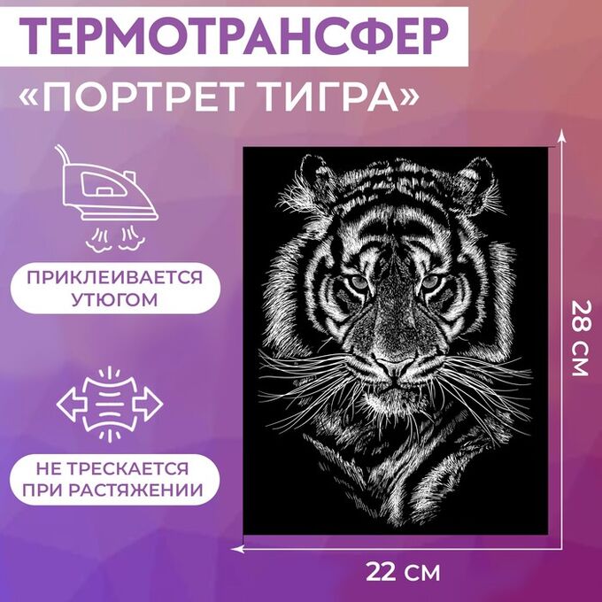 Термотрансфер «Портрет тигра», 22? 28 см
