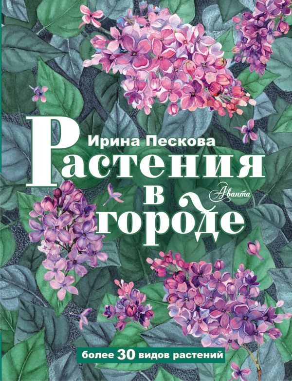 Издательство АСТ Пескова И.М. Растения в городе