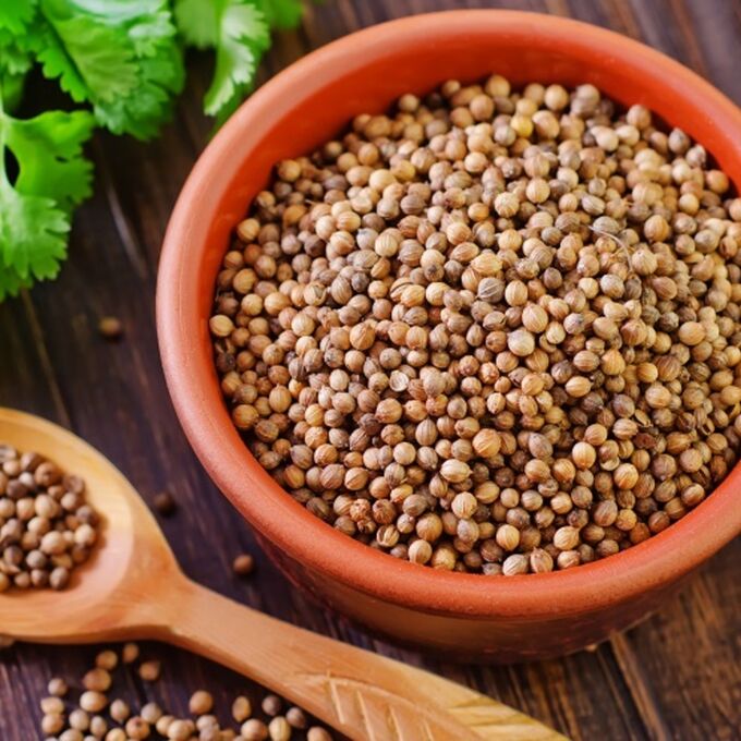 Кориандр (кинза). Кориандр молотый фото. Семена кинзы это кориандр. Кориандр и горчица одно и тоже или. Кориандр (кинза).