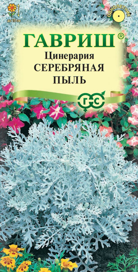 Семена Гавриш Цинерария Серебряная пыль (приморская)* 0,05 г