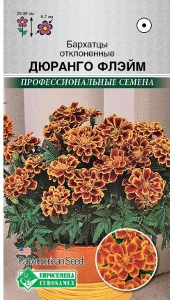 Евросемена Бархатцы отклоненные Дуранго Флэйм (10 шт)