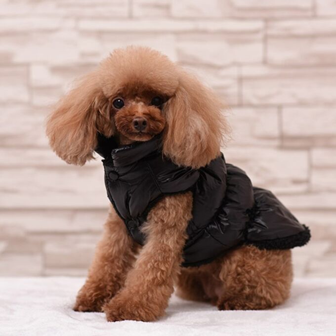 СИМА-ЛЕНД Куртка для собак &quot;Блеск&quot;, S (ДС 25, ОГ 37, ОШ 24 см, до 5 кг), чёрная