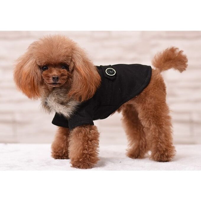 СИМА-ЛЕНД Пальто для собак, размер M (ДС 30, ОГ 44-45, ОШ 29-30 см), чёрное