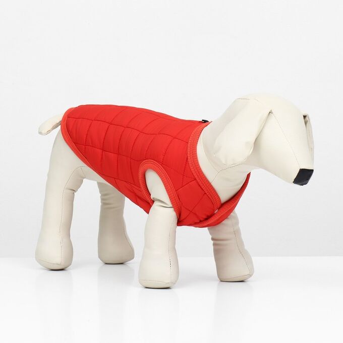 СИМА-ЛЕНД Куртка для собак &quot;Nice&quot;, размер XL (ДС 38 см, ОШ 38 см, ОГ 48 см), красная