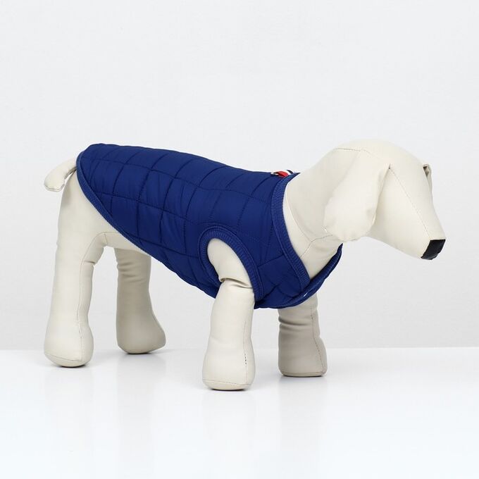 СИМА-ЛЕНД Куртка для собак &quot;Nice&quot;, размер XS (ДС 20 см, ОШ 20 см, ОГ 28 см), синяя