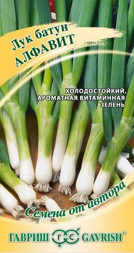Гавриш Лук Батун Алфавит (Код: 91244)