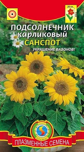 Плазменные семена Подсолнечник Санспот (Код: 91094)