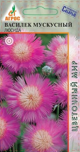 ТОО «AGROS ВТ» Василек Мускусный Люсида (Код: 91349)