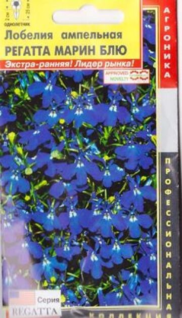 Плазменные семена Лобелия Регатта Марин Блю (Код: 83333)