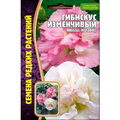 Семена для Сибири Гибискус Изменчивый (Редкие)