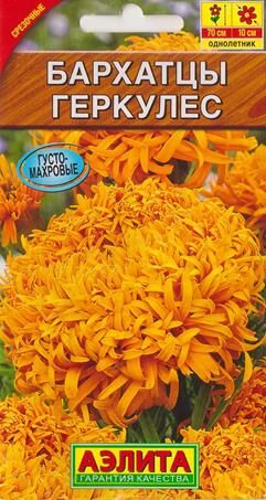 Аэлита Бархатцы Геркулес (Код: 70902)