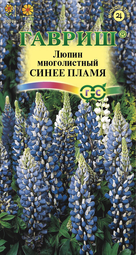 Люпин многолистный зе Гавернэ