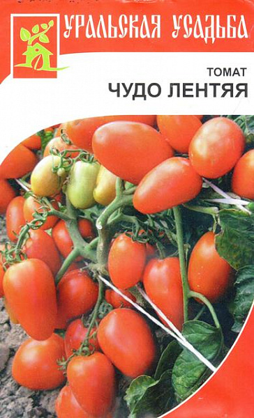 Томат чудо лентяя описание отзывы фото