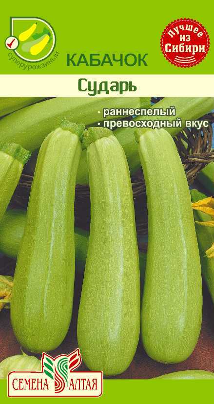Кабачок сударь описание сорта фото отзывы