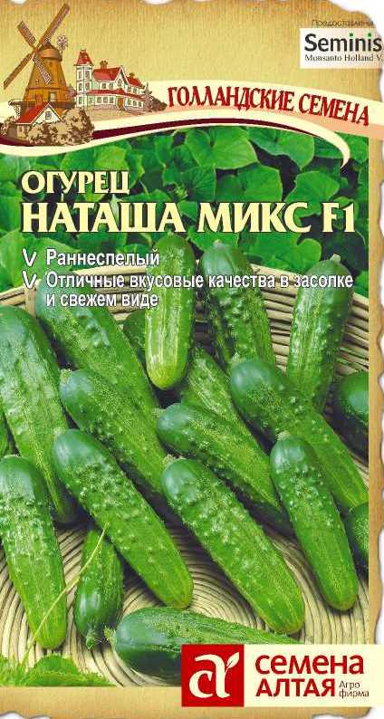 Огурцы шпингалет фото