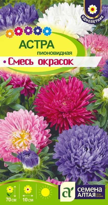 Семена Алтая Астра Пионовидная Смесь Окрасок/Сем Алт/цп 0,3 гр.