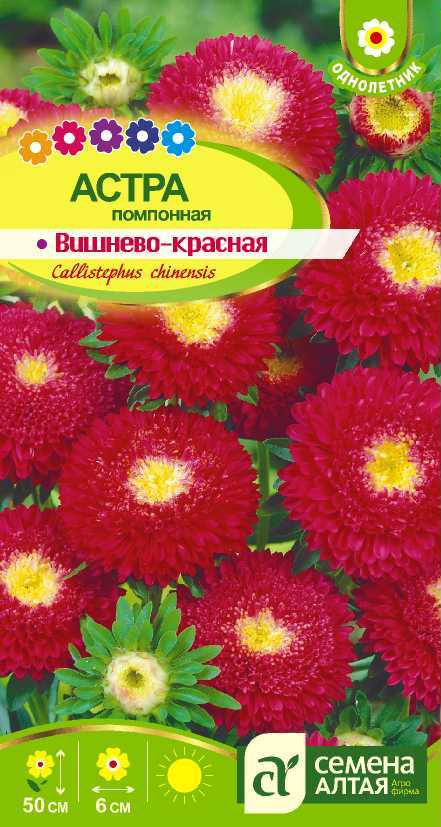 Астра Помпонная Вишнево-Красная/Сем Алт/цп 0,2 гр.