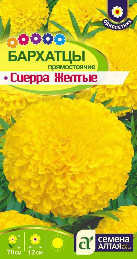 Цветы Бархатцы Сиерра Желтые/Сем Алт/цп 0,3 гр.