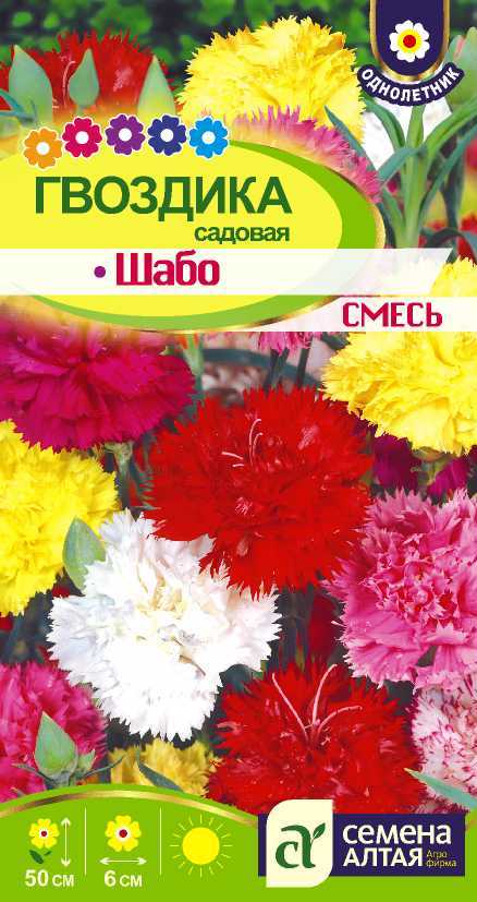 Как выглядят семена гвоздики шабо