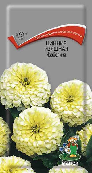 Цинния Изящная Изабелина