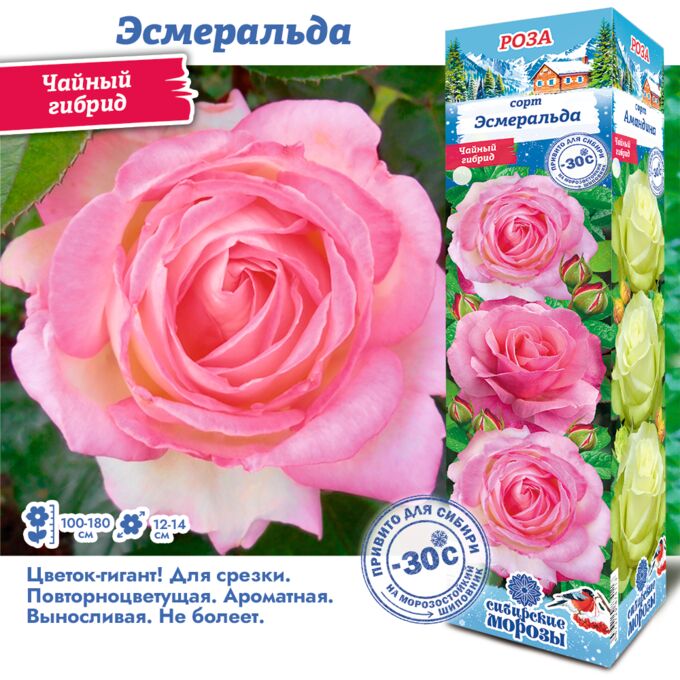 Начинаются с буквы "Р"