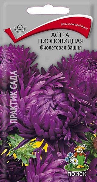 Поиск Астра пионовидная Фиолетовая башня ЦП