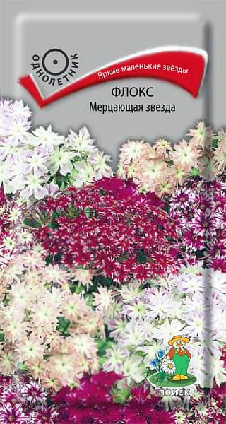 Поиск Флокс Мерцающая звезда ЦП